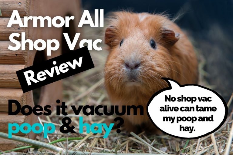 Armor All Shop Vac Review: Does it pick up poop and hay? (Find Out Here)