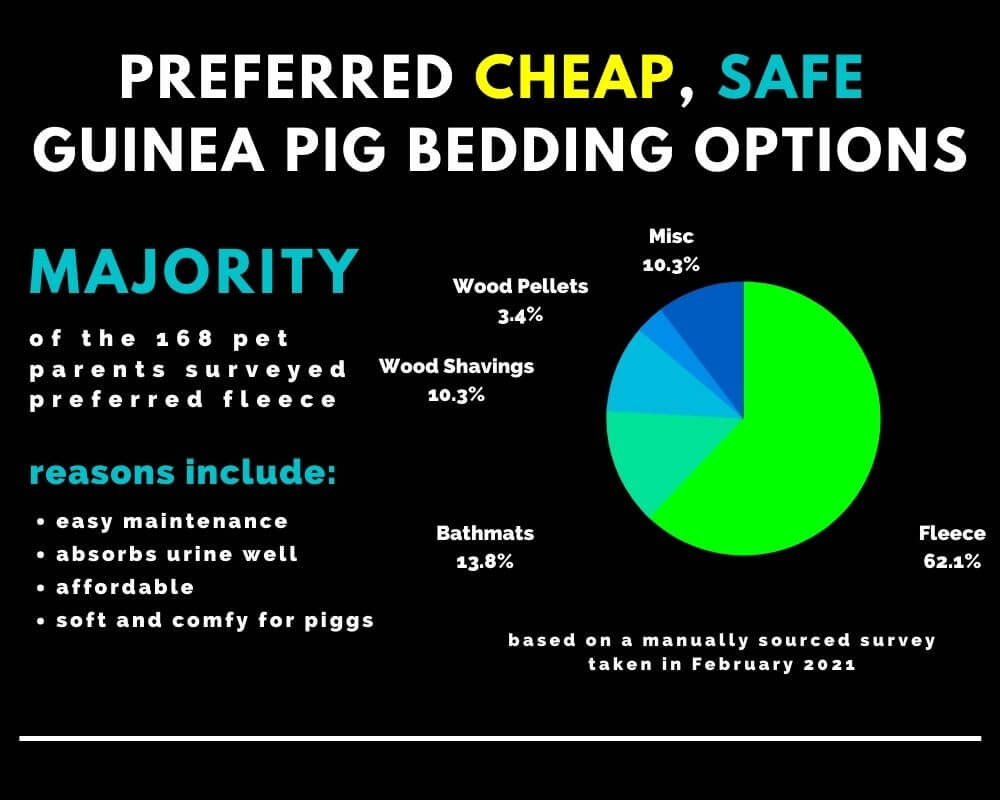 Guinea Pig Bedding and Cage Liner Options - Cheap and Safe