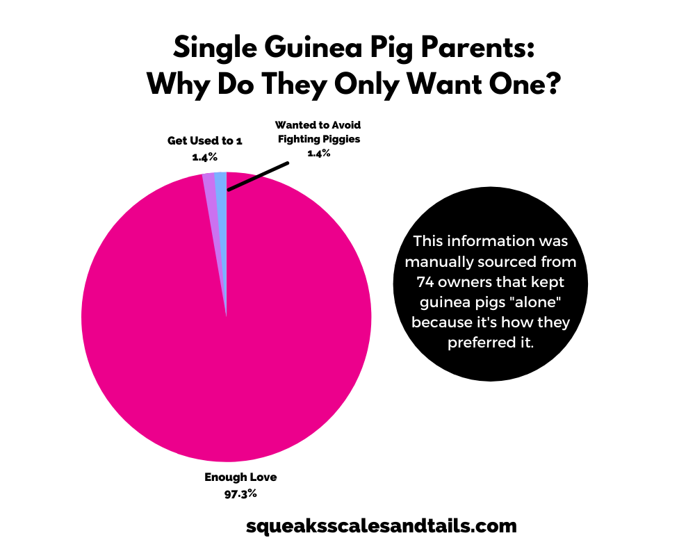 Is it okay to get a single guinea pig? - picture of a circle graph