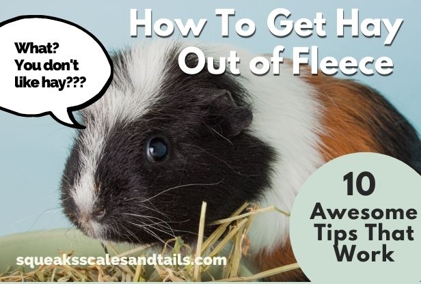 How to Get Hay Out of Fleece