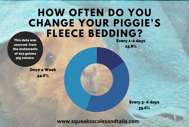 how often should you change fleece bedding for guinea pigs
