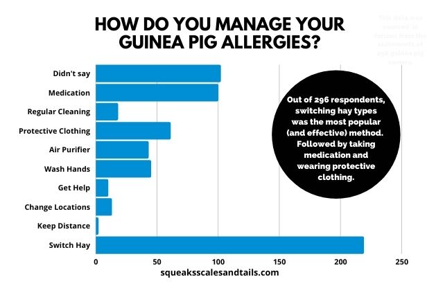 How To Live With Guinea Pig Allergies