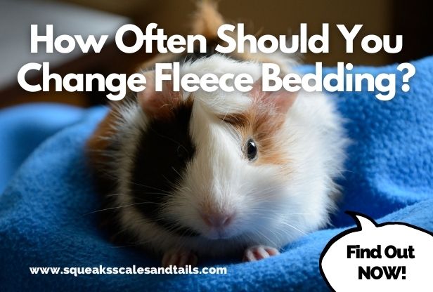 How Often Should You Change Fleece Bedding? (Find Out Now)