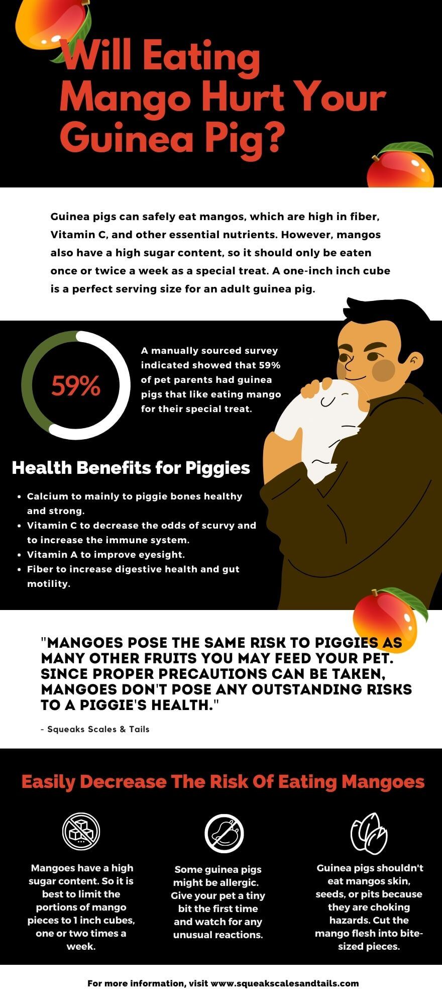 can guinea pigs eat mango? is mango safe for my guinea pigs?