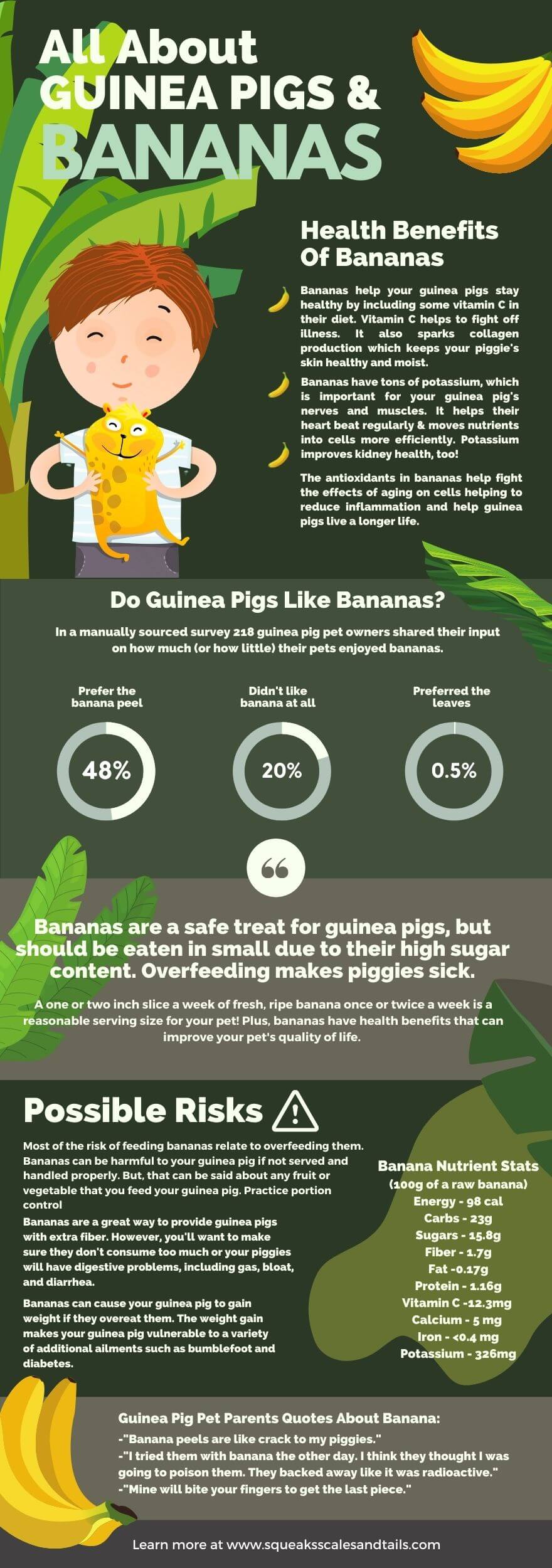 can guinea pigs eat banana