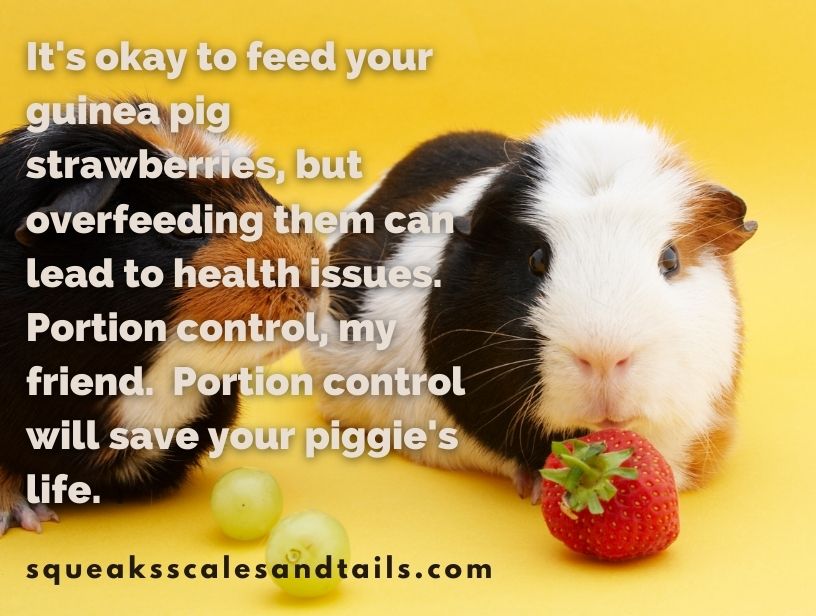 Are strawberries safe for guinea cheap pigs