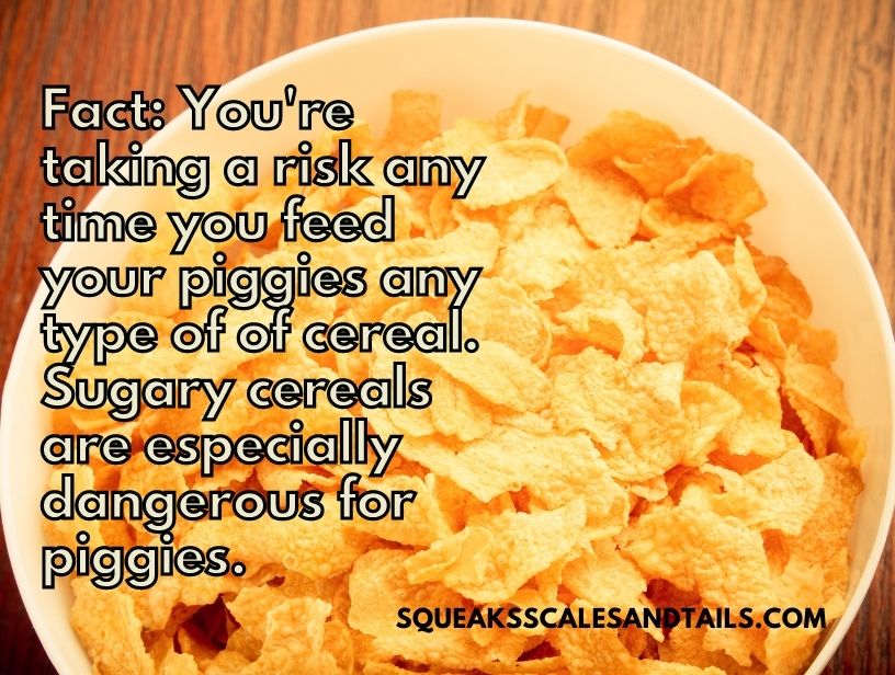 a warning that sugary dry cereal is especially dangerous to guinea pigs