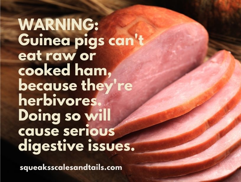 a warning message that guinea pigs can't eat ham