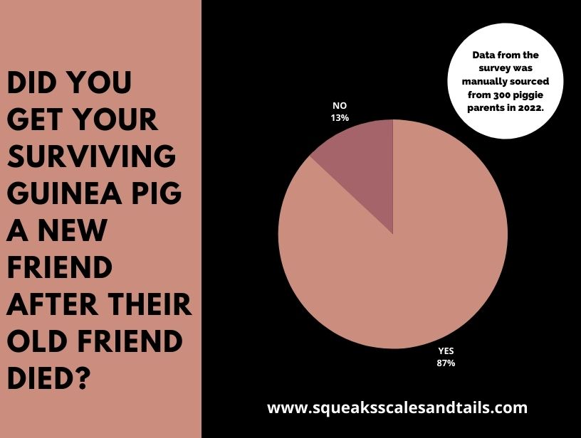 a graph about what people did when one of a pair of guinea pigs died