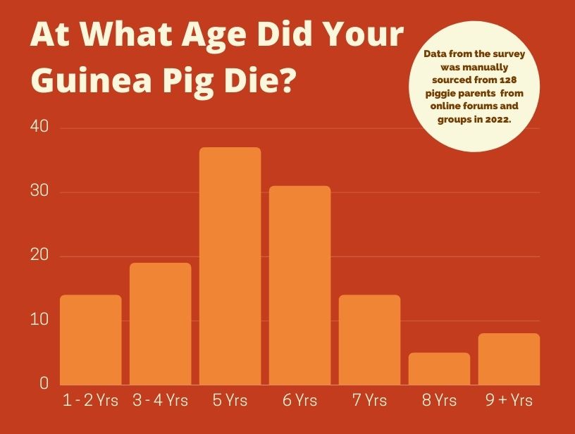 a graph of ages that guinea pigs died