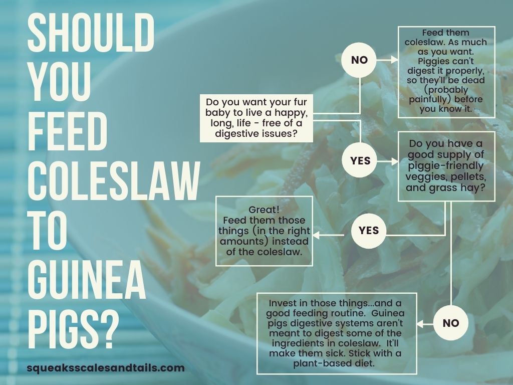a decision tree to help people figure out that they shouldn't feed coleslaw to their guinea pig