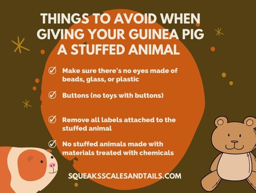 4 things you should remember about guinea pigs using stuffed animals safely