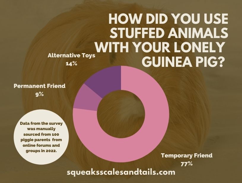 a graph about how guinea pig parents used stuffed animals with their guinea pigs