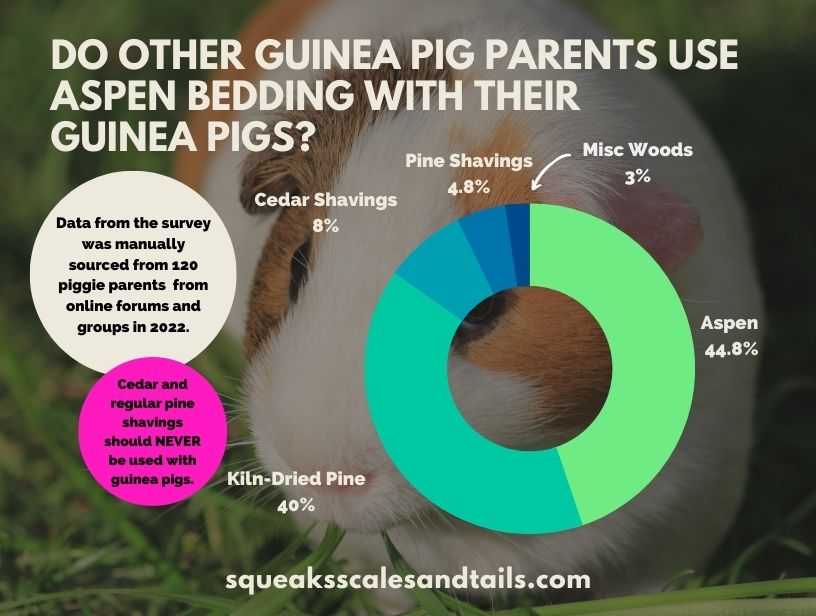 a graph on whether guinea pigs can use aspen bedding