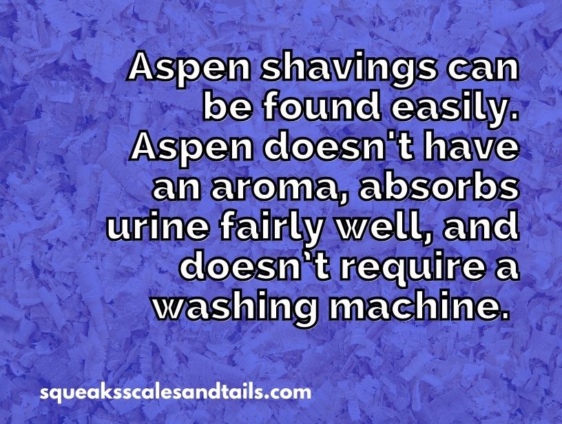 a tip about whether or not guinea pigs can use aspen bedding