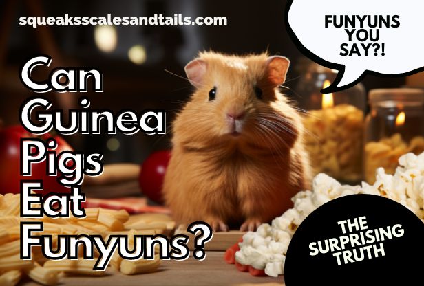 Can Guinea Pigs Eat Funyuns? (The Surprising Truth)